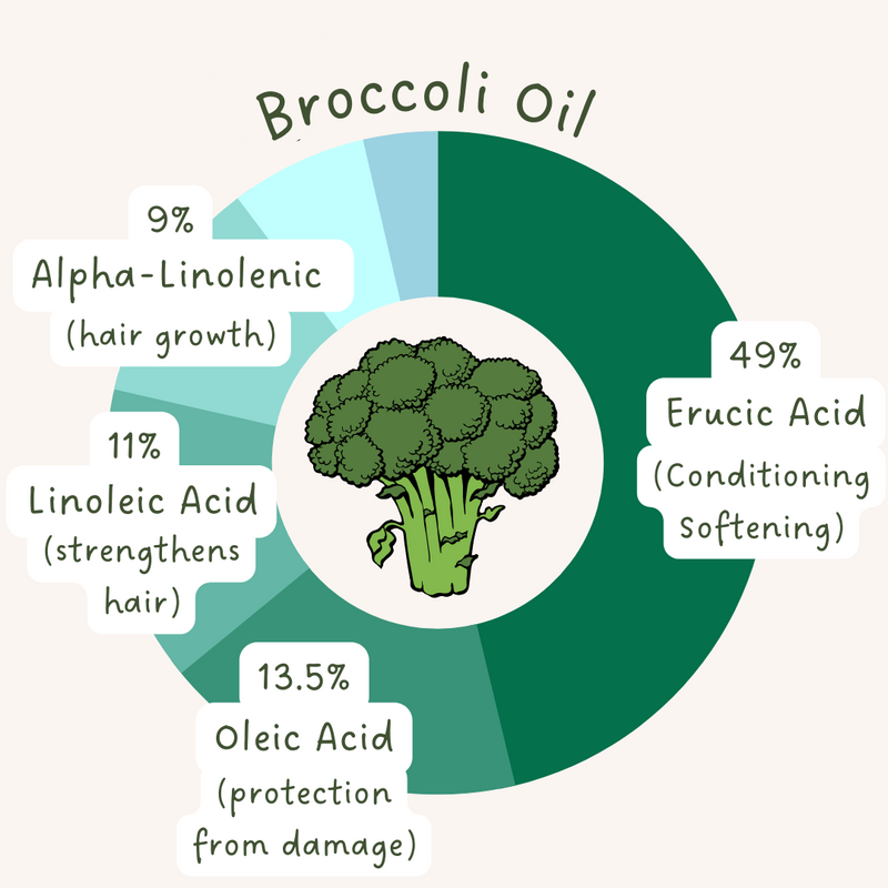 Solid Conditioner Broccoli