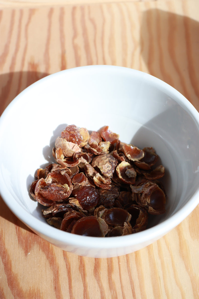 The Soap Nuts Workshop: Natural Home Cleaning and Bath Recipes
