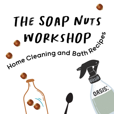 The Soap Nuts Workshop: Natural Home Cleaning and Bath Recipes